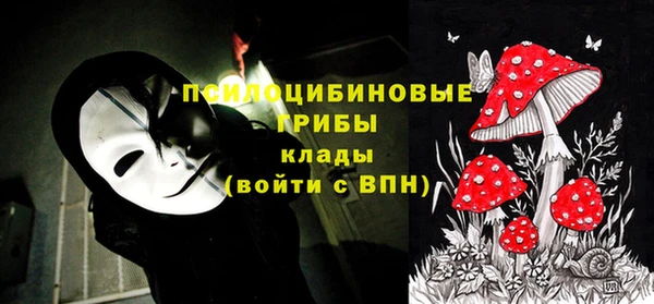 кристаллы Белокуриха