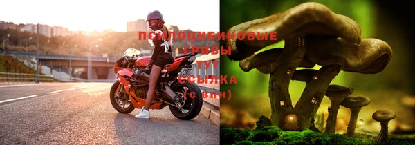эйфоретик Белоозёрский